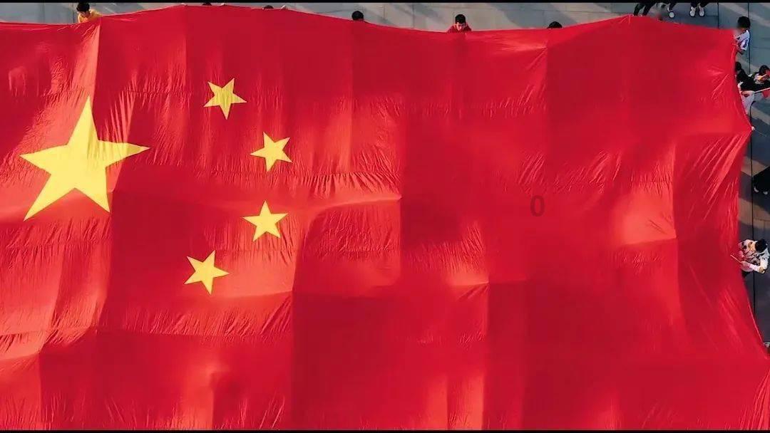 植物大战僵尸6